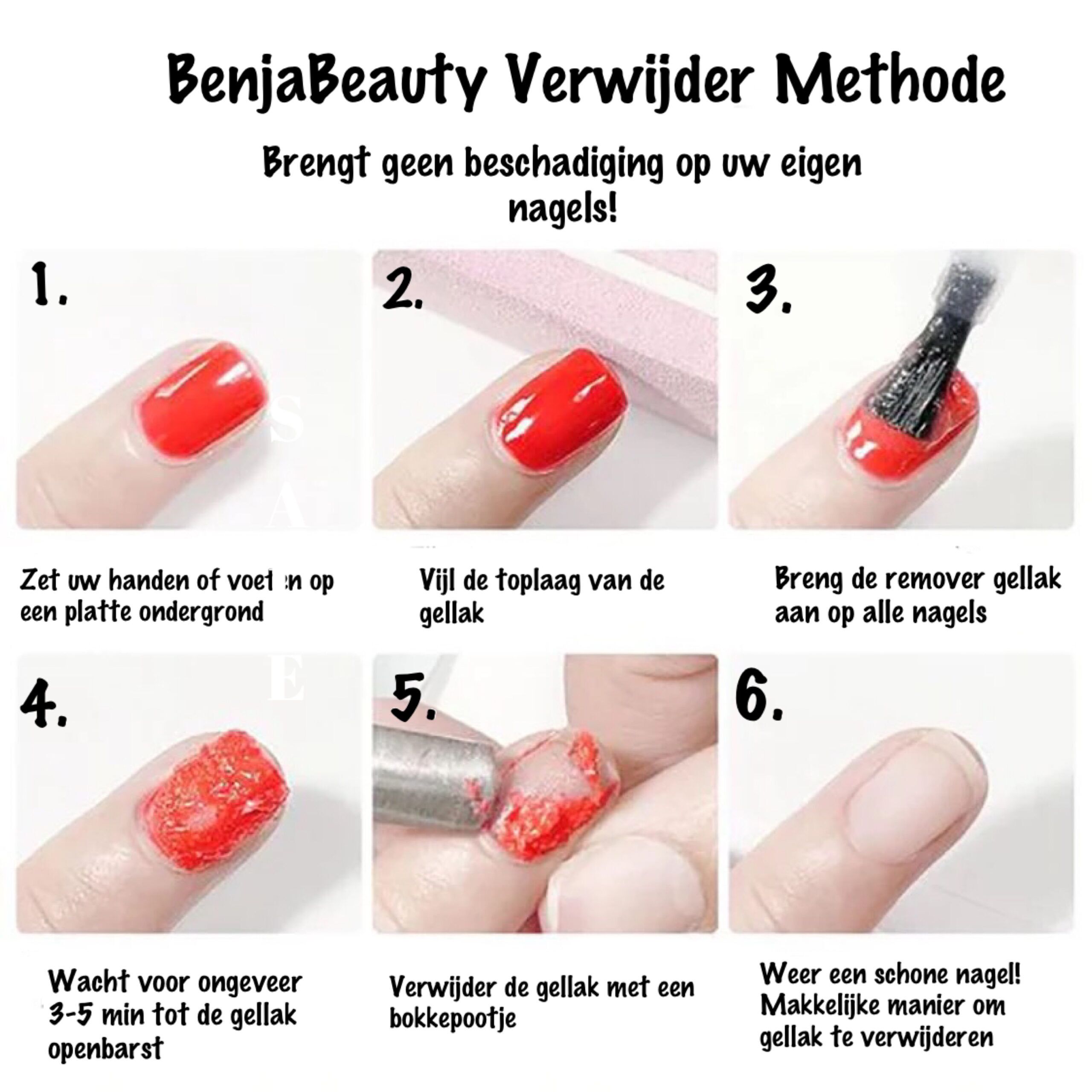 20200521_231355_IMG_6924